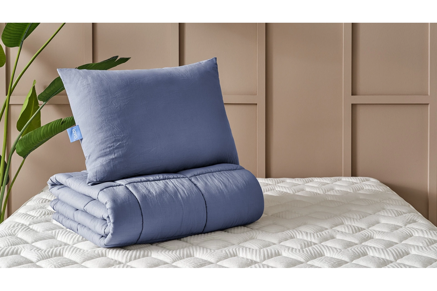 Daria yastık-yorgan seti